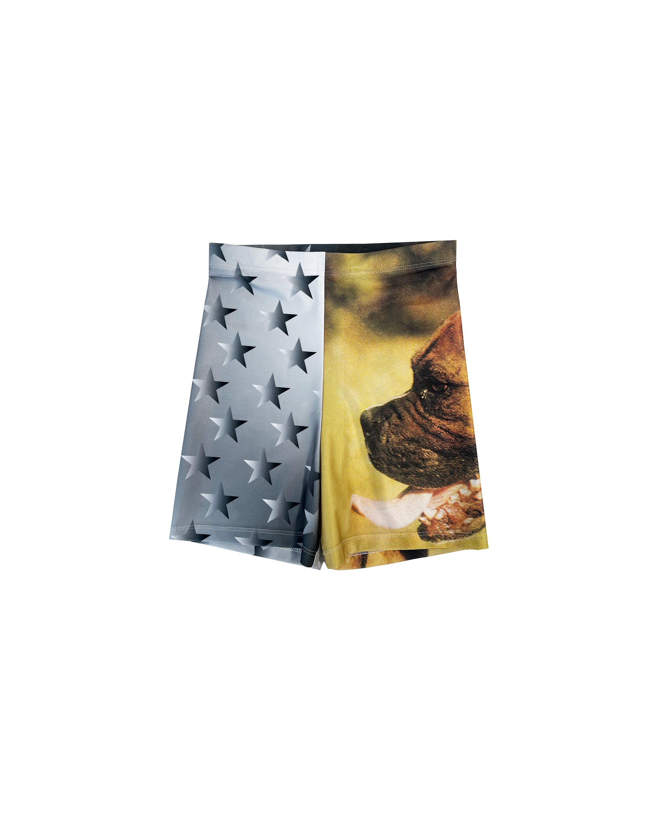 Big Dog Mini Shorts